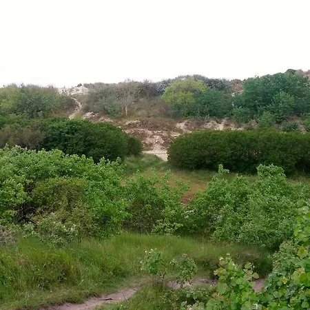 Kemping Kampeerverblijf Zandpolder